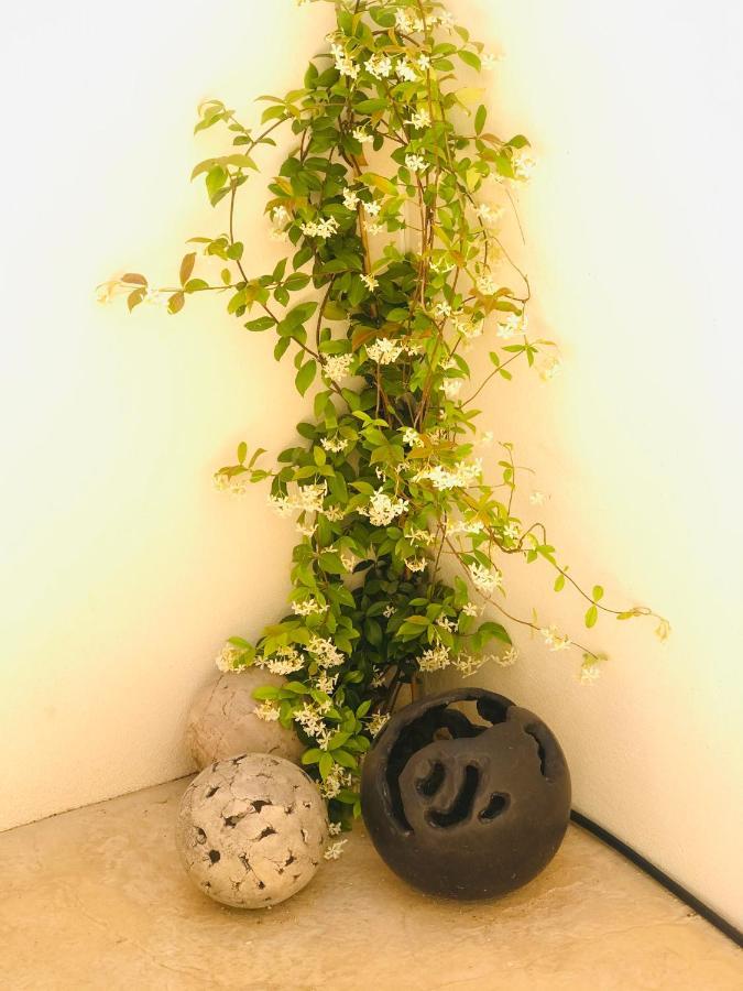 Malaucène La Maison D Ame - For The Perfect Stay At The Mont Ventoux מראה חיצוני תמונה