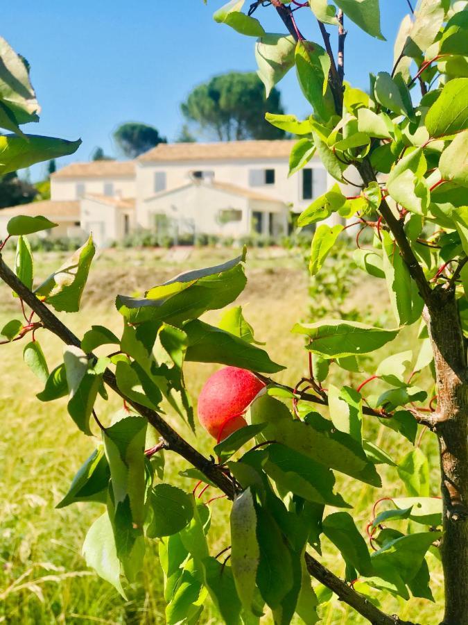 Malaucène La Maison D Ame - For The Perfect Stay At The Mont Ventoux מראה חיצוני תמונה
